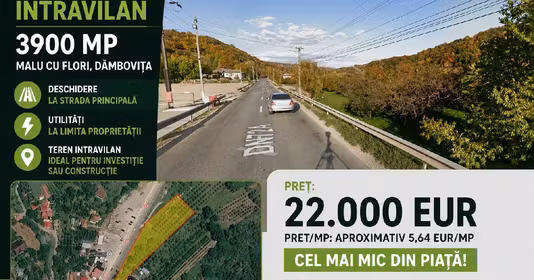 Teren Malu cu Flori