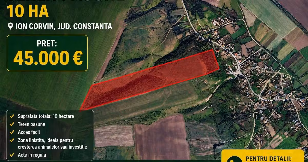 Teren extravilan de vânzare de 100000 mp, în Ion Corvin