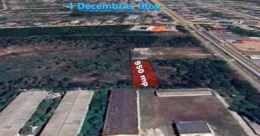 Teren 1 Decembrie