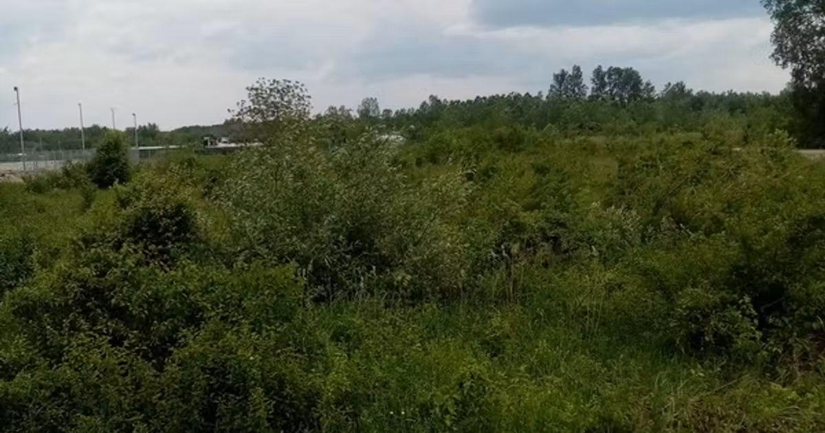 Teren Construcții intravilan de vânzare de 3356 mp, în Răzvad
