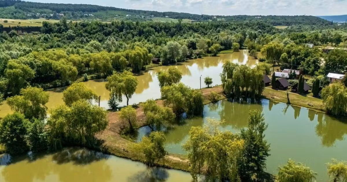 Proprietate specială de vânzare în Mălureni