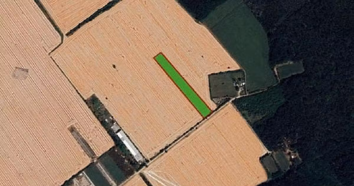 Teren agricol intravilan de vânzare de 14000 mp, în Buftea