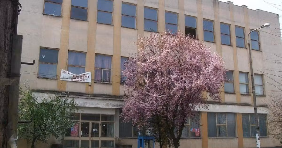Spațiu comercial de vânzare în Calafat