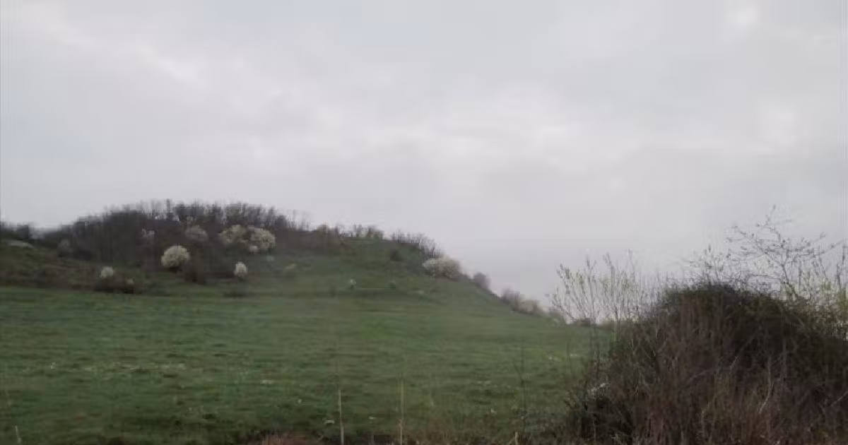Teren extravilan de vânzare de 5900 mp, în Hălchiu