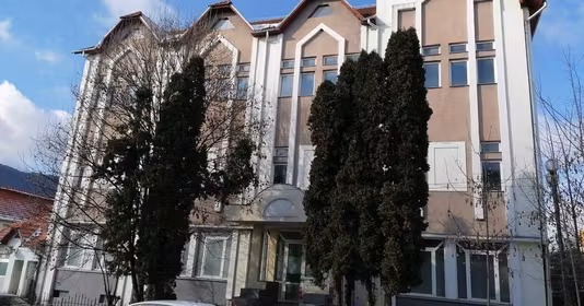 Spațiu comercial Central