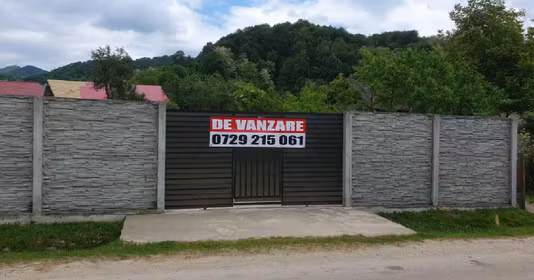 Teren Vișinești