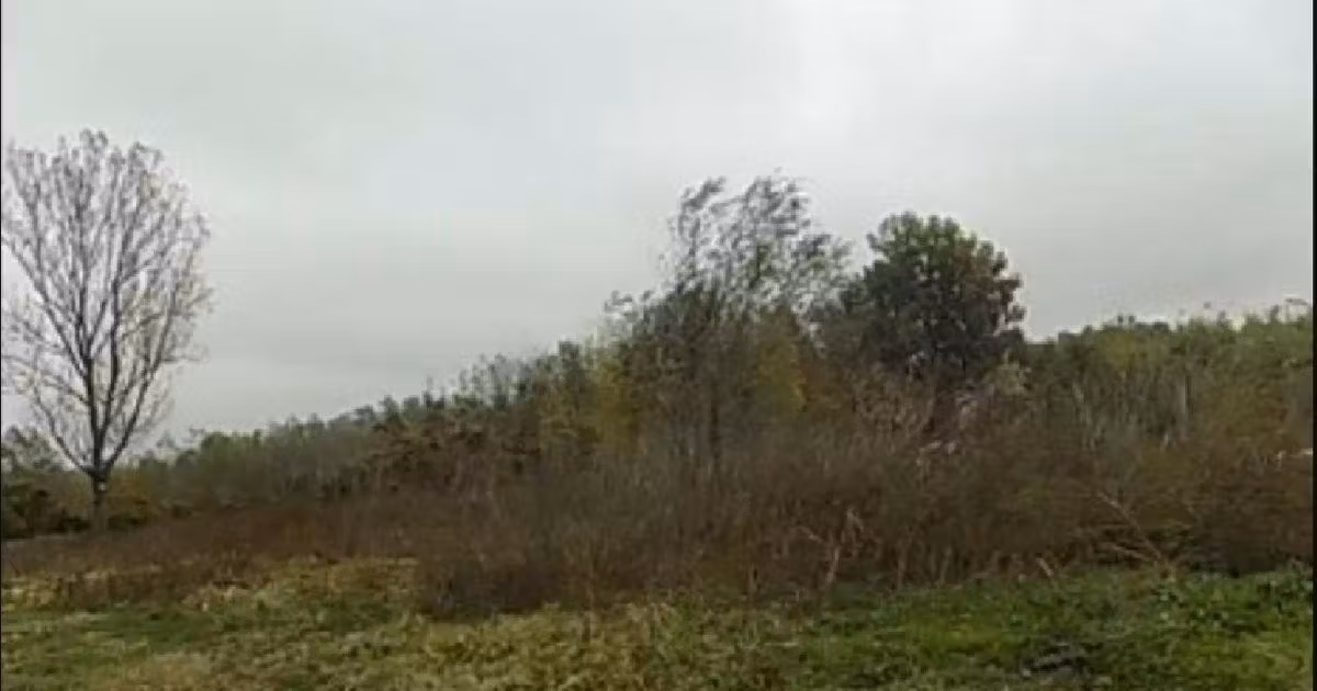Teren agricol extravilan de vânzare de 4175 mp, în Puchenii Mari