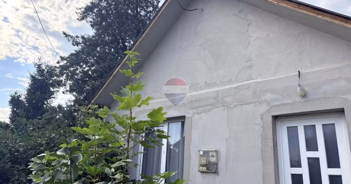 Casă individuală de vânzare cu 2 camere în Ciocănești