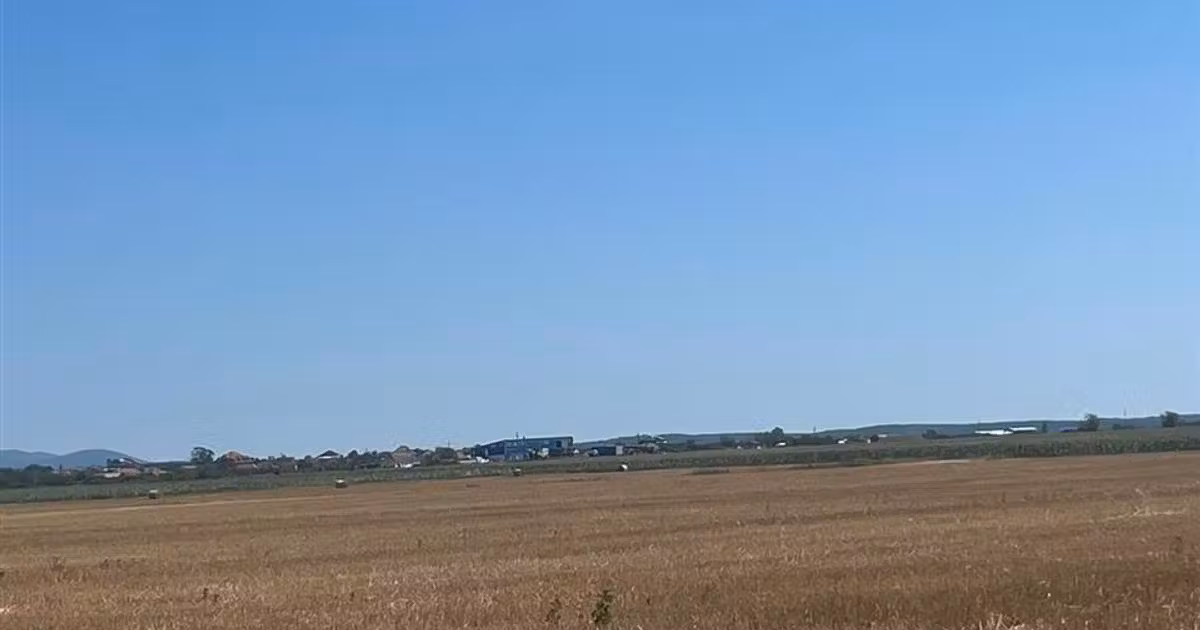 Teren agricol extravilan de vânzare de 44000 mp, în Olcea