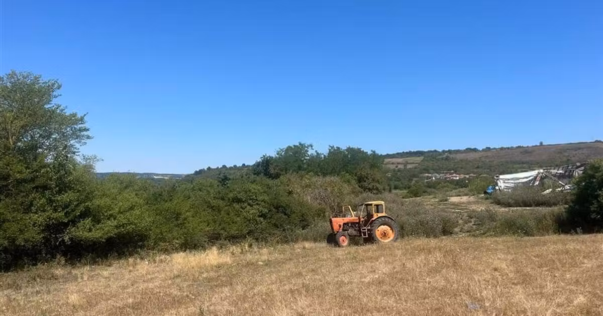 Teren agricol extravilan de vânzare de 27400 mp, în Holod