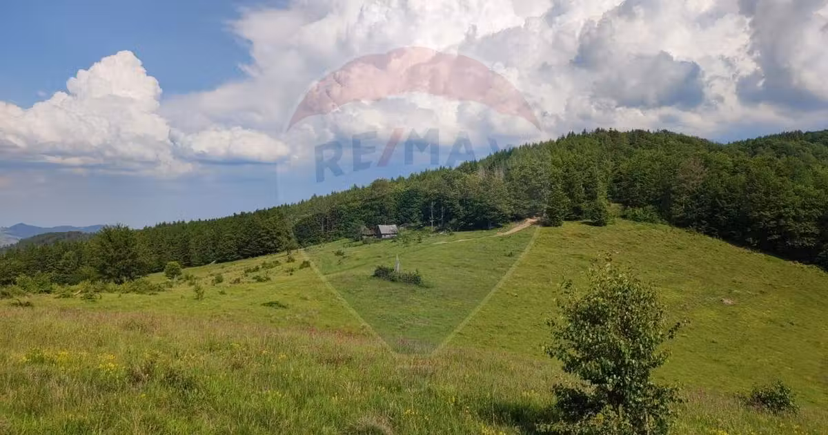 Teren agricol extravilan de vânzare de 128948 mp, în Munteni