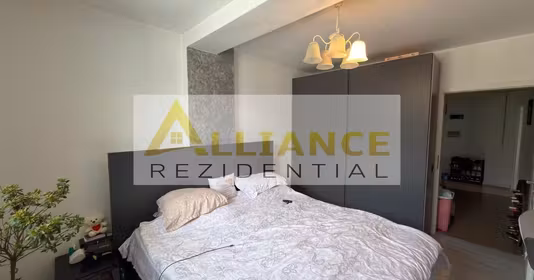 Apartament Central