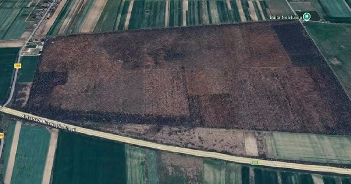 Teren de vânzare de 520000 mp, în Rătești