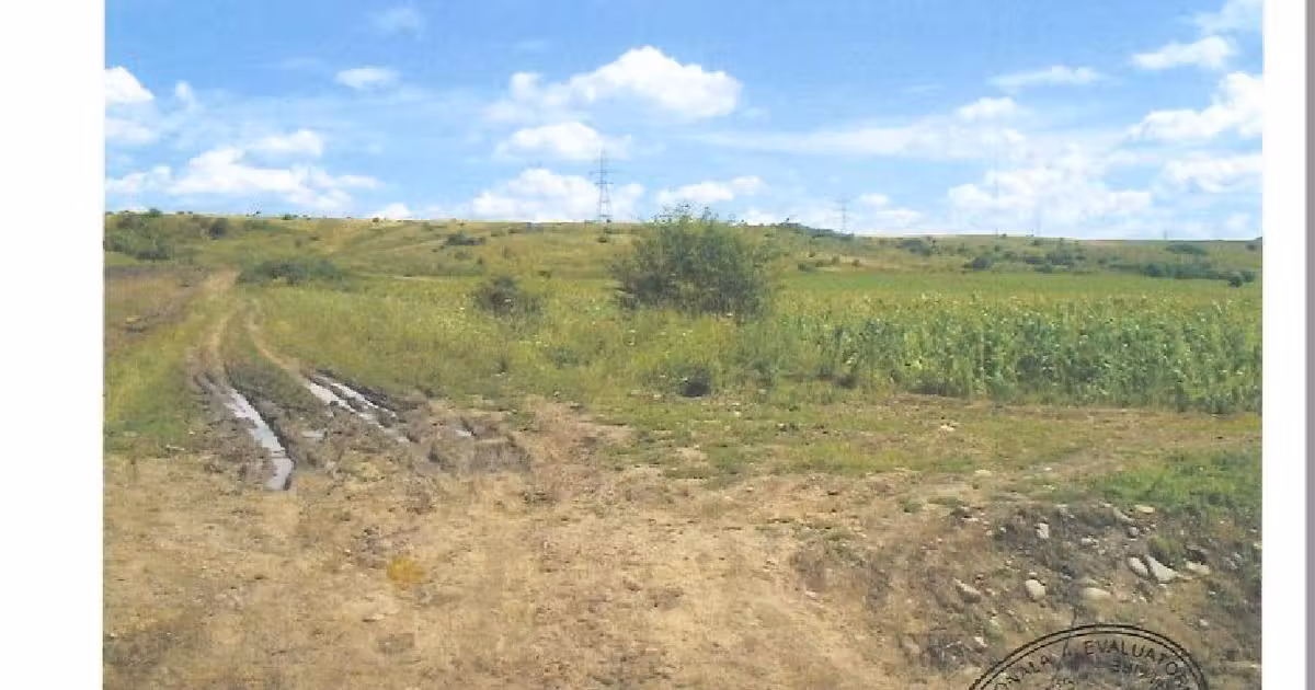Teren agricol extravilan de vânzare de 6900 mp, în zona Sud, Bistrița