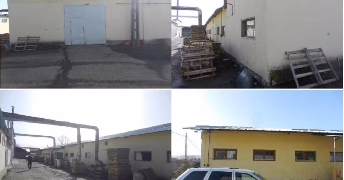 Spațiu industrial de vânzare în Gârcina