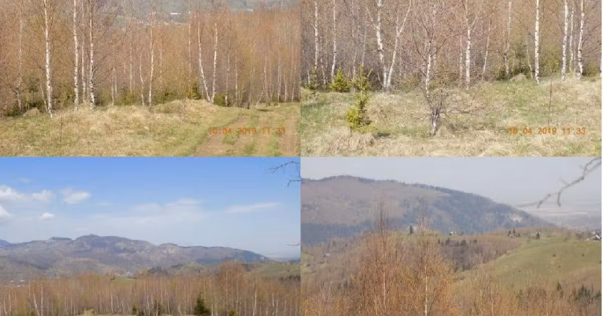 Teren extravilan de vânzare de 48956 mp, în Bran