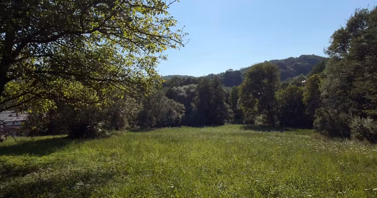 Teren Construcții intravilan de vânzare de 4653 mp, în Valea Danului