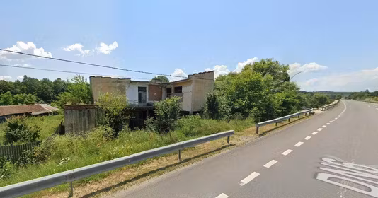 Spațiu comercial Prunișor