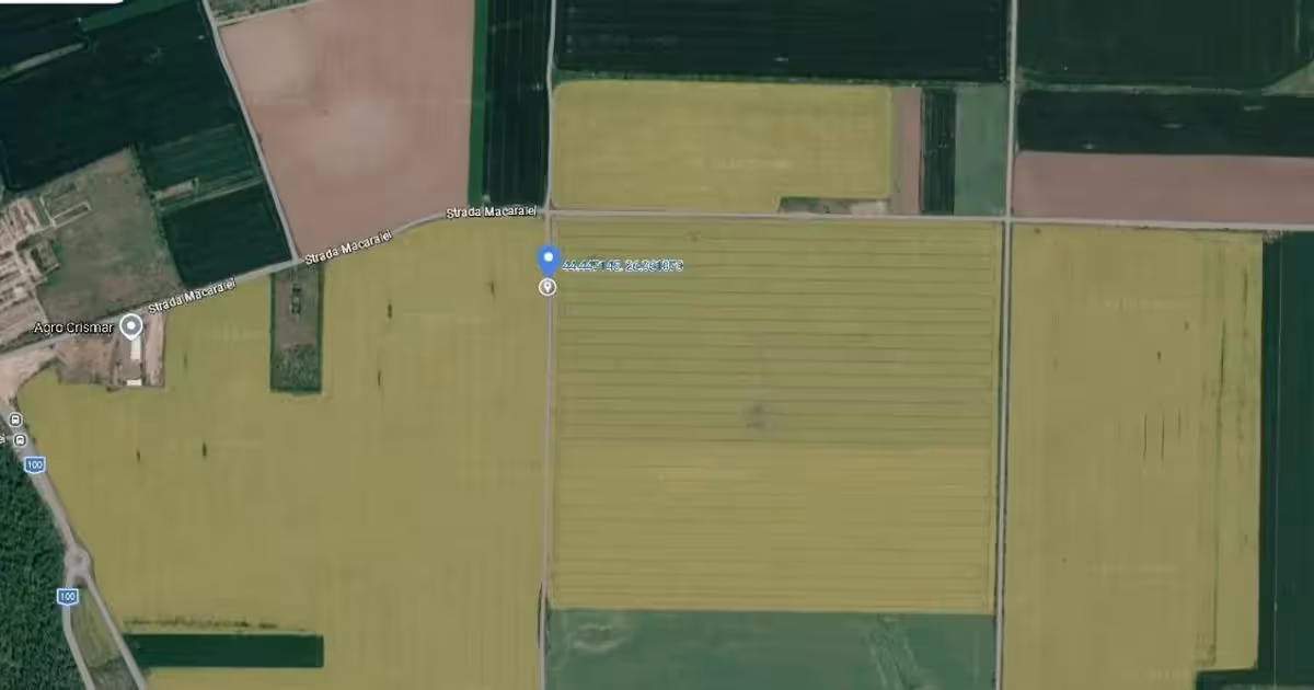 Teren Construcții intravilan de vânzare de 9817 mp, în Brănești