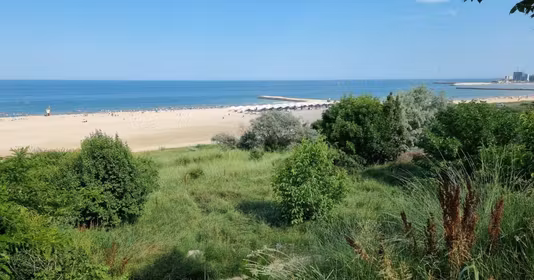 Teren Faleza Nord