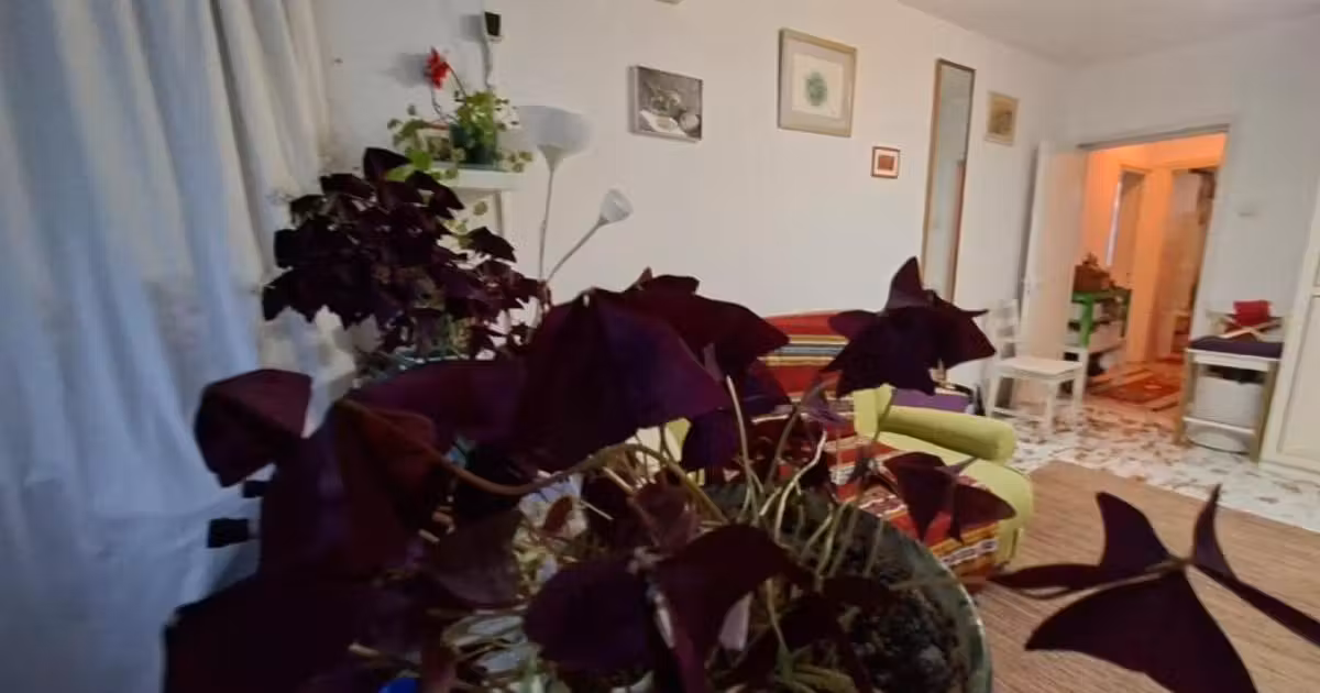 Apartament de vânzare cu 3 camere, mobilat în zona Ștefan cel Mare, Sector 2