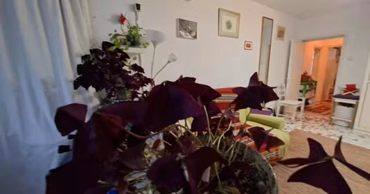 Apartament Dorobanți