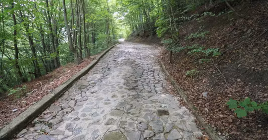 Teren Sinaia