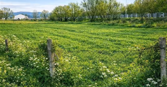 Teren Lunca Oltului