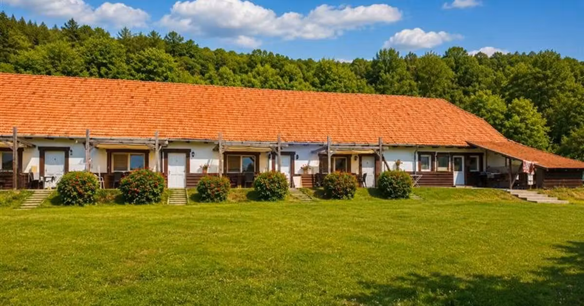 Hotel/Pensiune de vânzare de 636 mp, în Târgu Mureș