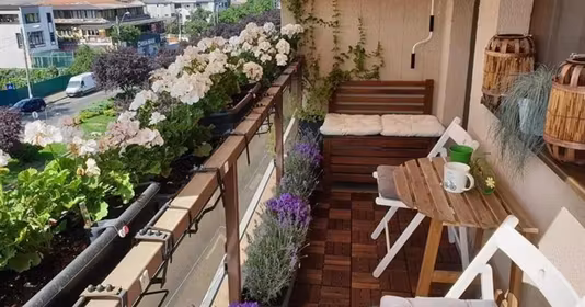 Apartament Herăstrău