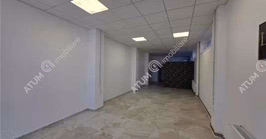 Spațiu comercial Vasile Aaron