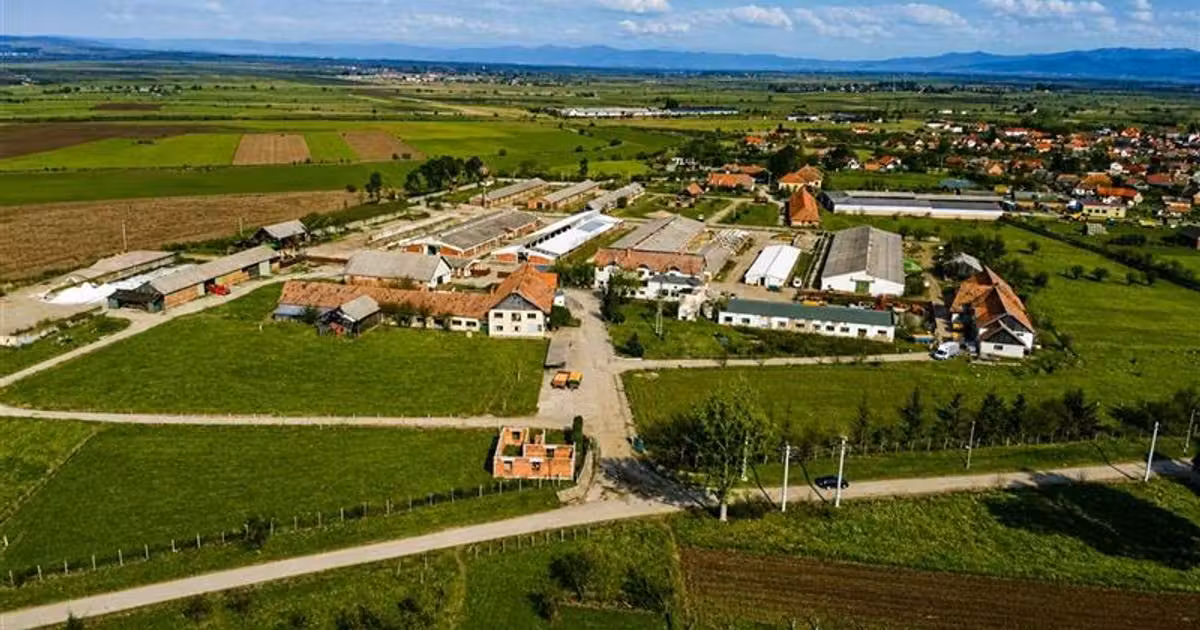 Teren Construcții intravilan de vânzare de 25391 mp, în Boroșneu Mare