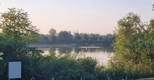 Teren Clinceni