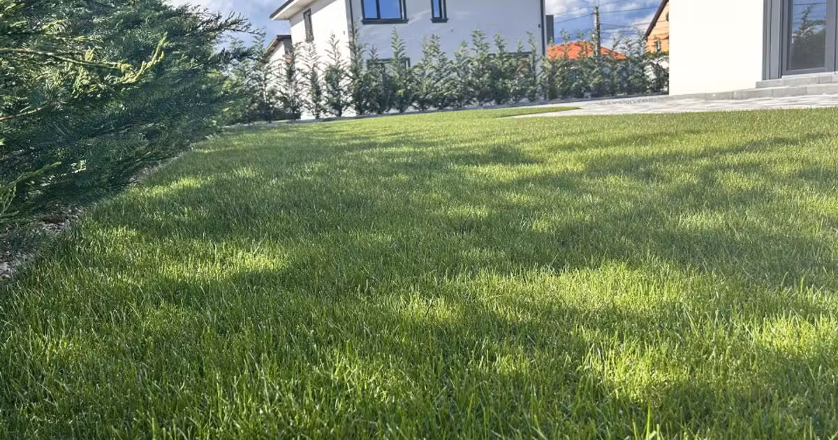 Casă individuală de vânzare cu 5 camere în Apahida