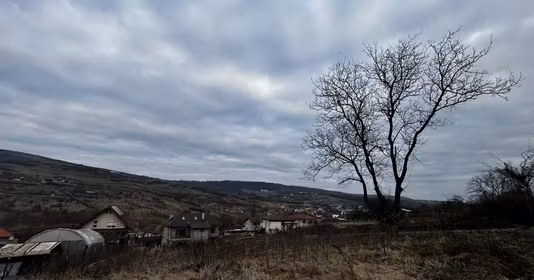 Teren Mărăști