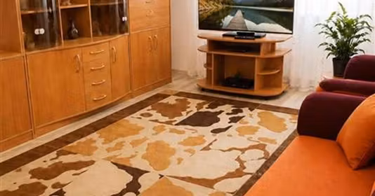Apartament Astra