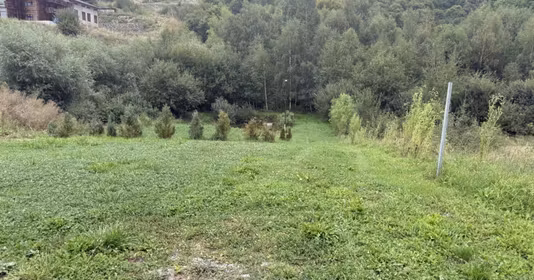 Teren Bună Ziua