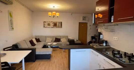 Apartament Tineretului