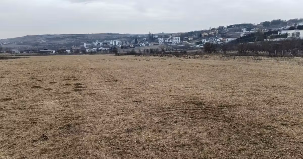 Teren Construcții intravilan de vânzare de 4300 mp, în zona Borhanci, Cluj-Napoca