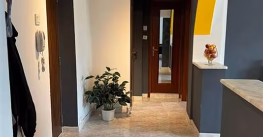 Apartament Central