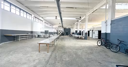 Spațiu comercial Artego