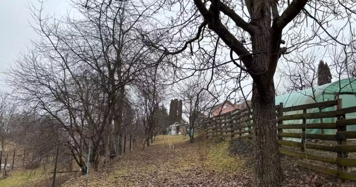 Teren Construcții intravilan de vânzare de 560 mp, în zona Andrei Mureșanu, Cluj-Napoca