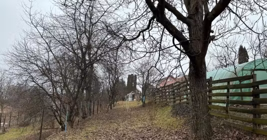 Teren Bună Ziua