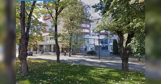 Spațiu comercial Central