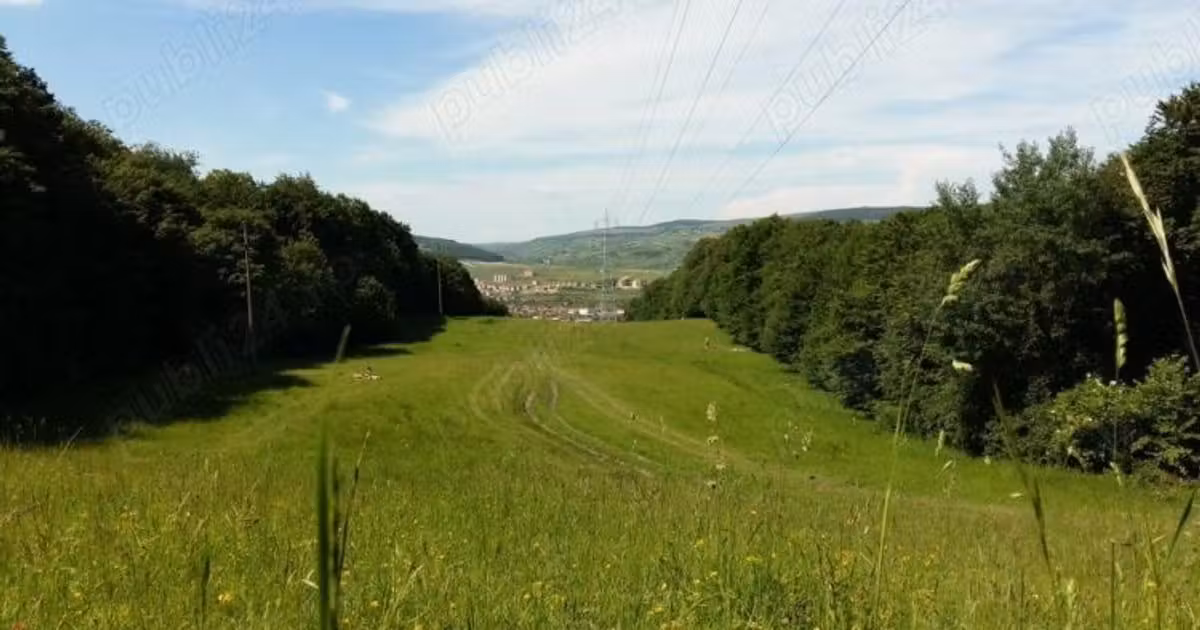 Teren Construcții intravilan de vânzare de 17243 mp, în zona Grigorescu, Cluj-Napoca