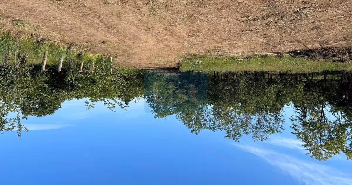Teren de vânzare de 5318 mp, în zona Debarcader, Târgu Jiu