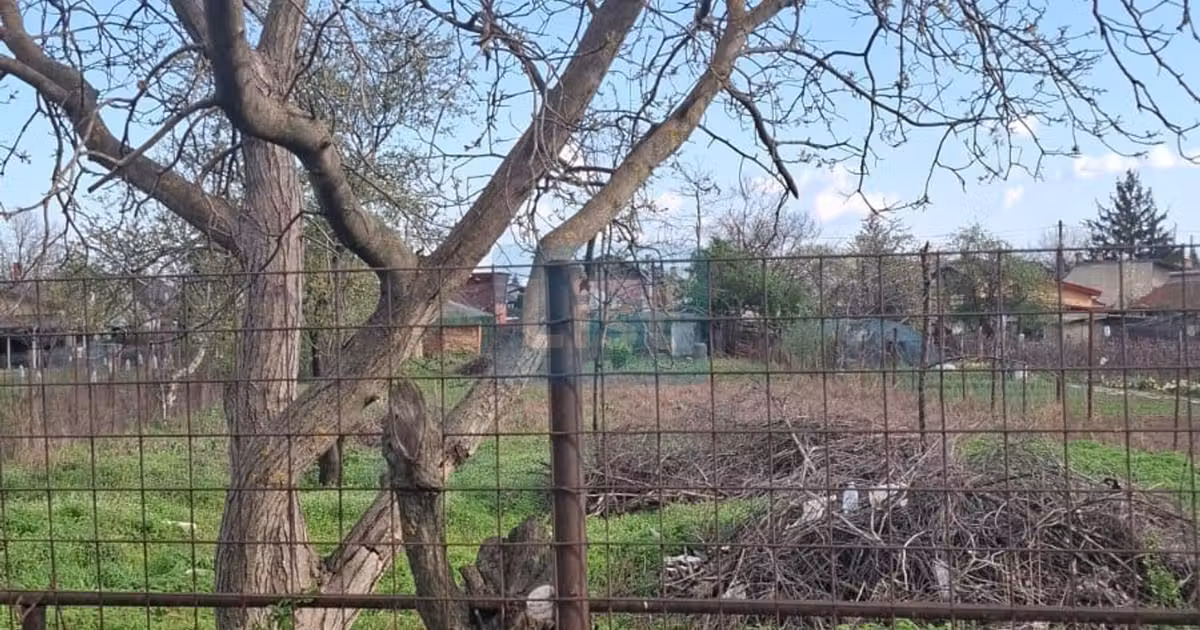 Teren de vânzare de 1600 mp, în Bragadiru