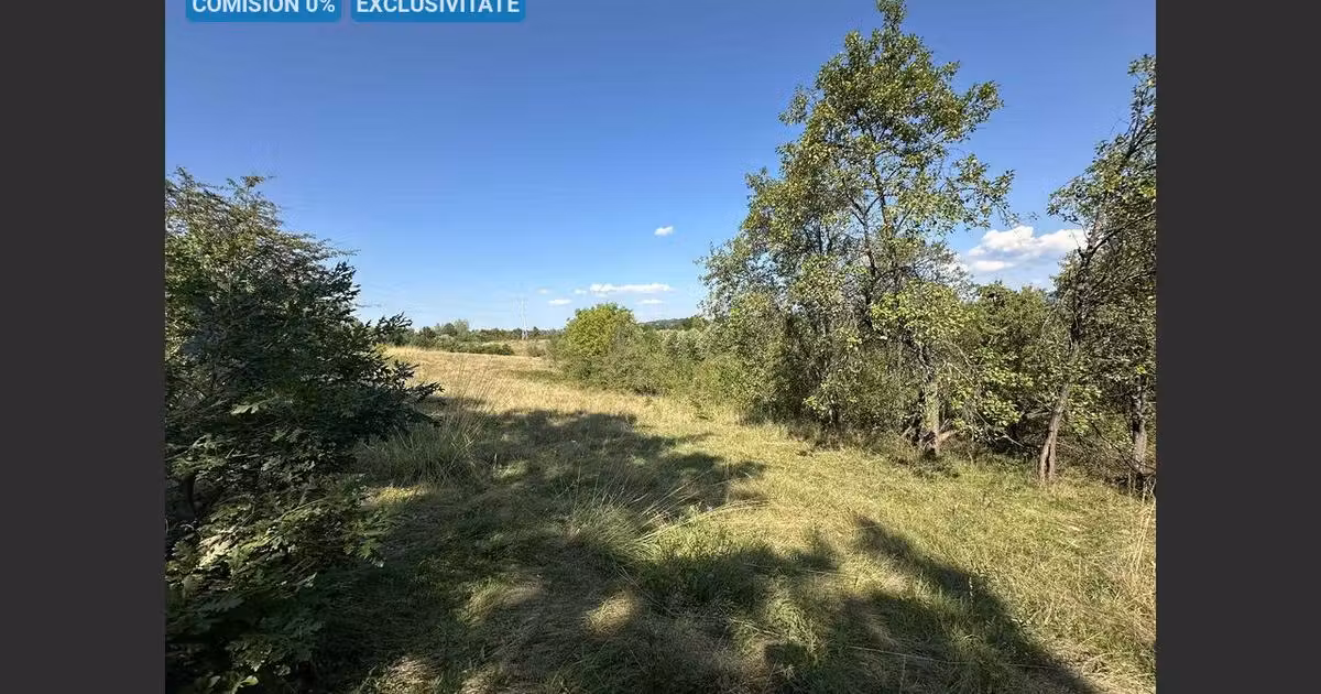 Teren Construcții intravilan de vânzare de 17260 mp, în zona Calea Caransebeșului, Reșița