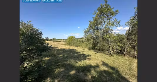 Teren Calea Caransebeșului