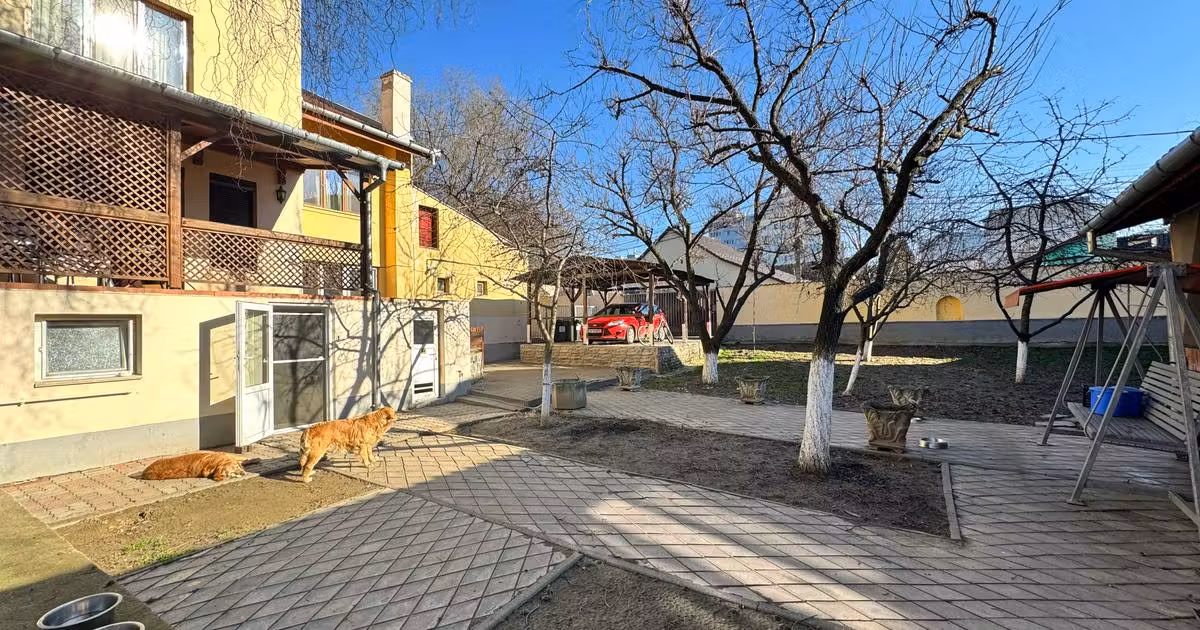 Casă individuală de vânzare cu 14 camere, mobilată în zona Șagului, Timișoara